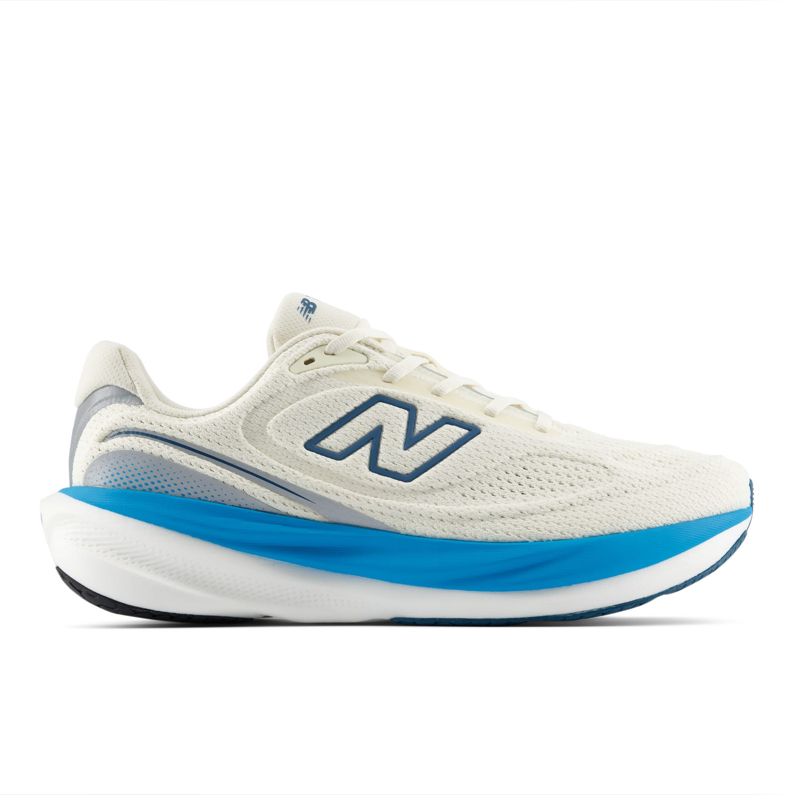 Zapatillas Hombre 1080 V15